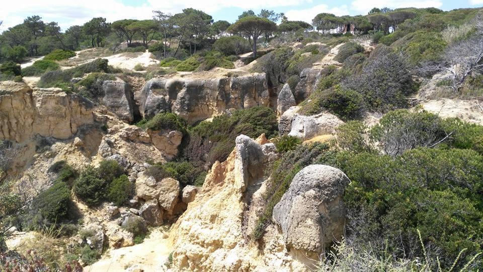 Villa Lena Albufeira Bagian luar foto