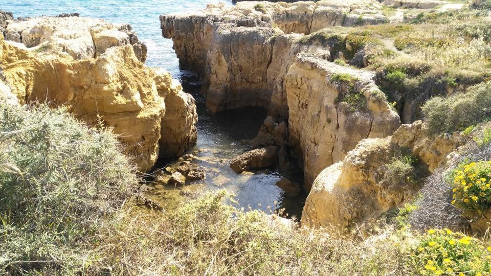 Villa Lena Albufeira Bagian luar foto