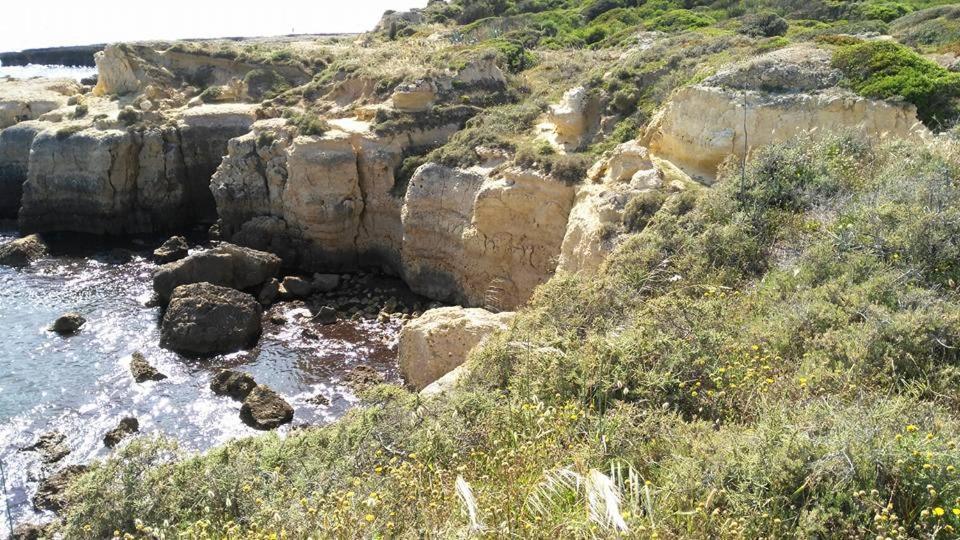 Villa Lena Albufeira Bagian luar foto